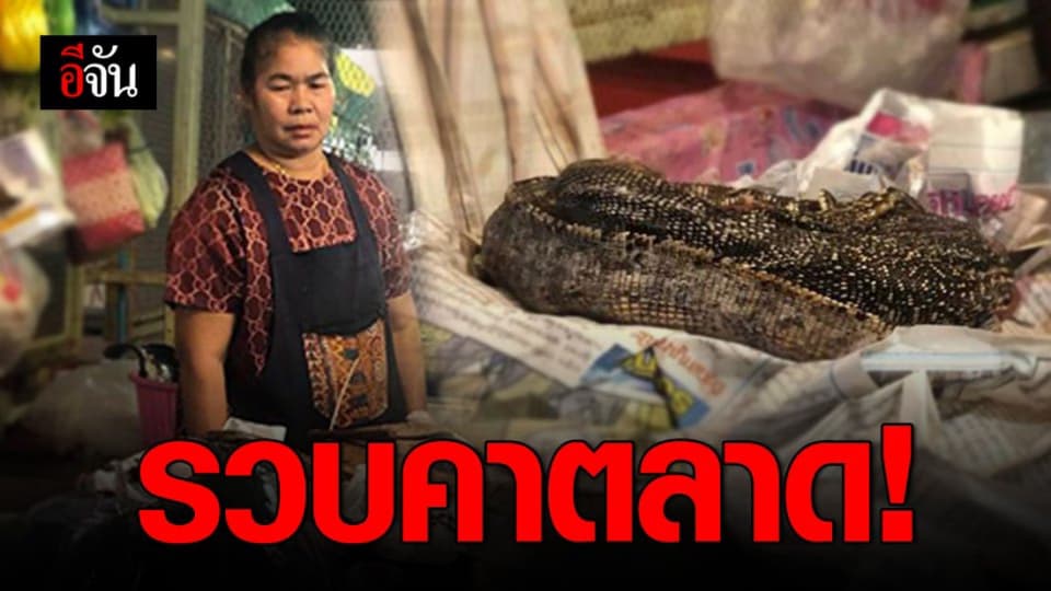 ชุดพญาเสือ บุกรวบแม่ค้าลักลอบขายเนื้อสัตว์คุ้มครอง