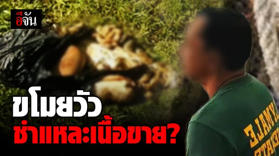 รวบพ่อค้าเขียงวัว รับซื้อเนื้อวัวผิดกฎหมาย