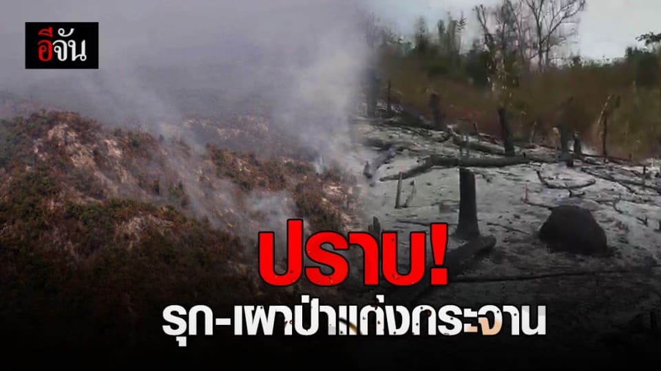 หน่วยพญาเสือ นำทีมปราบปรามรุกป่าแก่งกระจาน