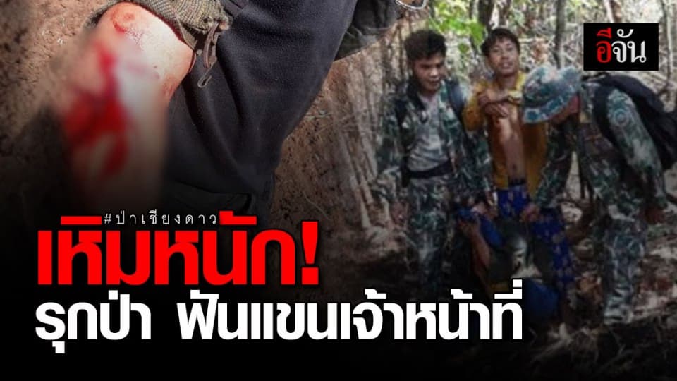 เจ้าหน้าที่ ดูแลป่าเชียงดาว เข้าระงับเหตุคนบุกรุกป่า โดนจอบฟันแขน อาการสาหัส!