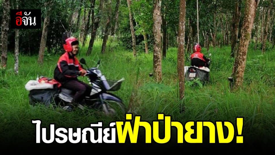 ได้ใจไปเต็มๆ หนุ่มไปรษณีย์ขับรถส่งเอกสาร ขับฝ่าป่ายางไปเลย