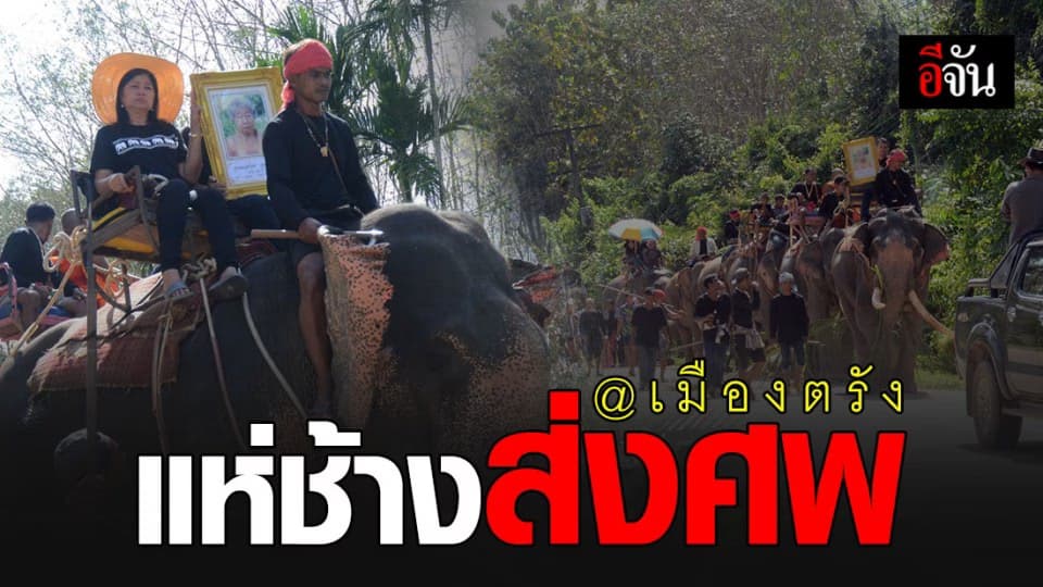 เพราะรักจึงทำให้ ! ขบวนช้าง 19 เชือก ส่งศพ เมียเจ้าของปางช้างแห่ง เมืองตรัง สู่สวรรค์