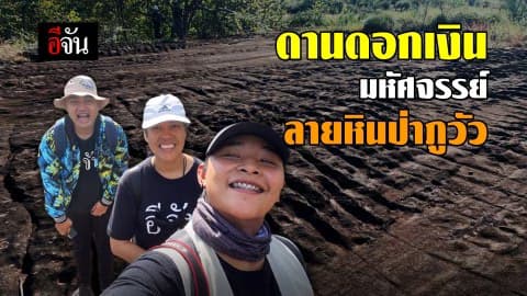 ดานดอกเงิน มหัศจรรย์ ลายหินป่าภูวัว