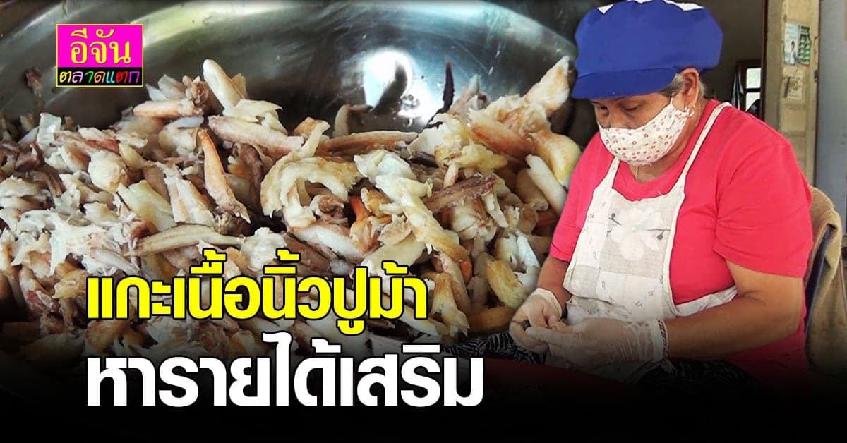 ชาวนาชะอัง ชุมพร แกะเนื้อนิ้วปูม้า ส่งขาย หารายได้เสริม สู้โควิด19
