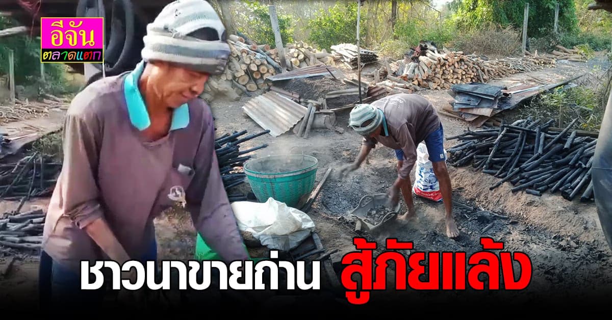 ชาวนา พลิกวิกฤติ เผาถ่ายขาย สู้ภัยแล้ง
