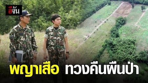 อีกแล้ว!!! พญาเสือพบป่าแก่งกระจานถูกบุกรุกกว่า 20 ไร่