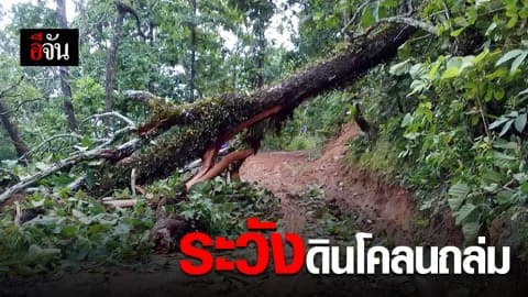 แม่สะเรียง สั่งทุก อบต. ระวังดินโคลนถล่ม – ต้นไม้โค่นขวางทาง