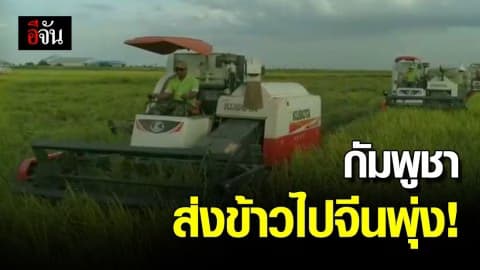 ยอดส่งออก ‘ข้าวกัมพูชา’ ไปจีน พุ่ง 44%