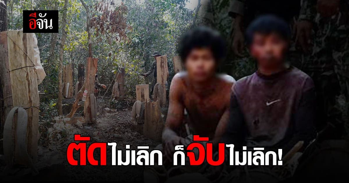 สมาร์ทพาโทรล จับ 2 ชาวกัมพูชา ลอบขนไม้ประดู่แปรรูปข้ามประเทศ