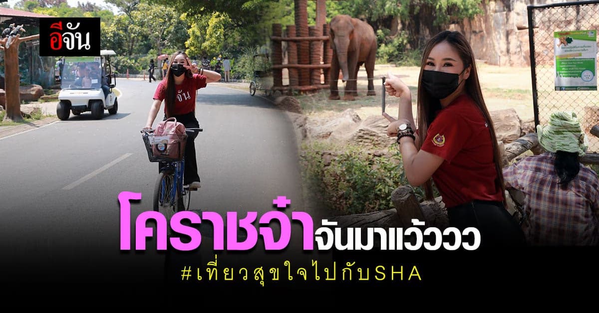 ทริปนี้ เอาให้คุ้ม! ปักหมุด โคราช เที่ยวสุขใจไปกับ SHA