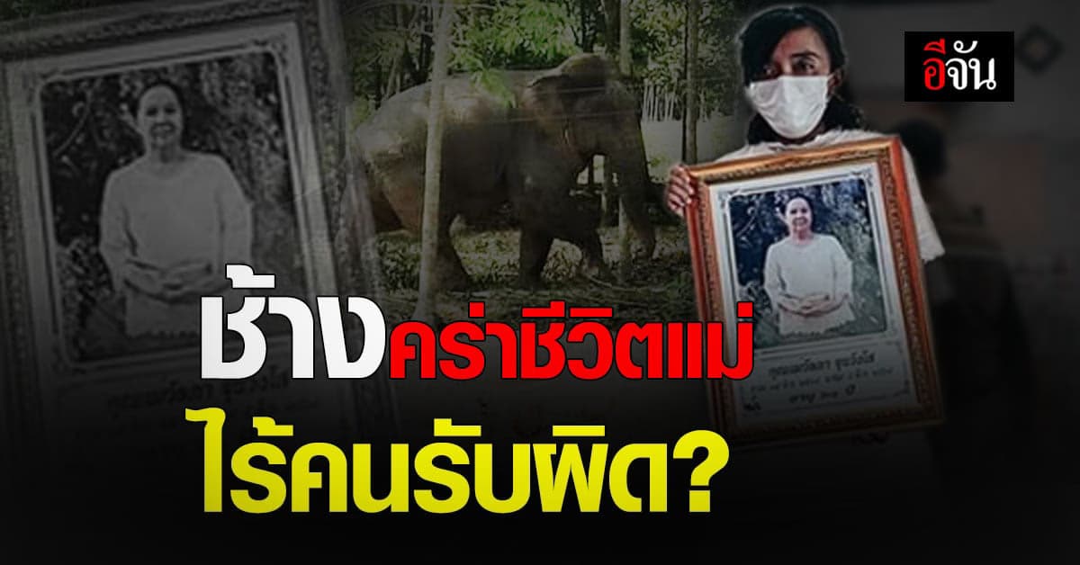 หนุ่มอัดอั้น พรั่งพรูหลังสูญเสียแม่ เพราะช้างเหยียบ ไร้คนออกมารับผิด