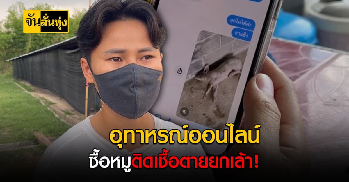 เกษตรกรมือใหม่เศร้า ซื้อ หมูพันธุ์ ราคาถูกจากออนไลน์ สุดท้ายไม่รอดตายยกเล้า