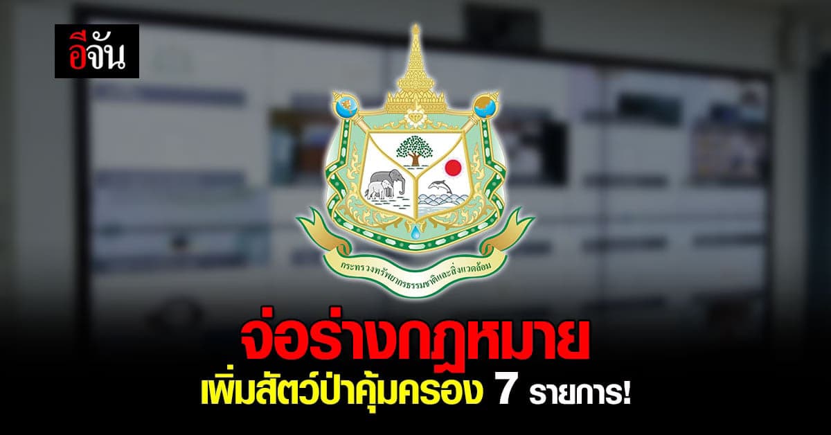 ทส.เตรียมร่างกฎหมาย จ่อเพิ่ม สัตว์ป่าคุ้มครอง 7 รายการ