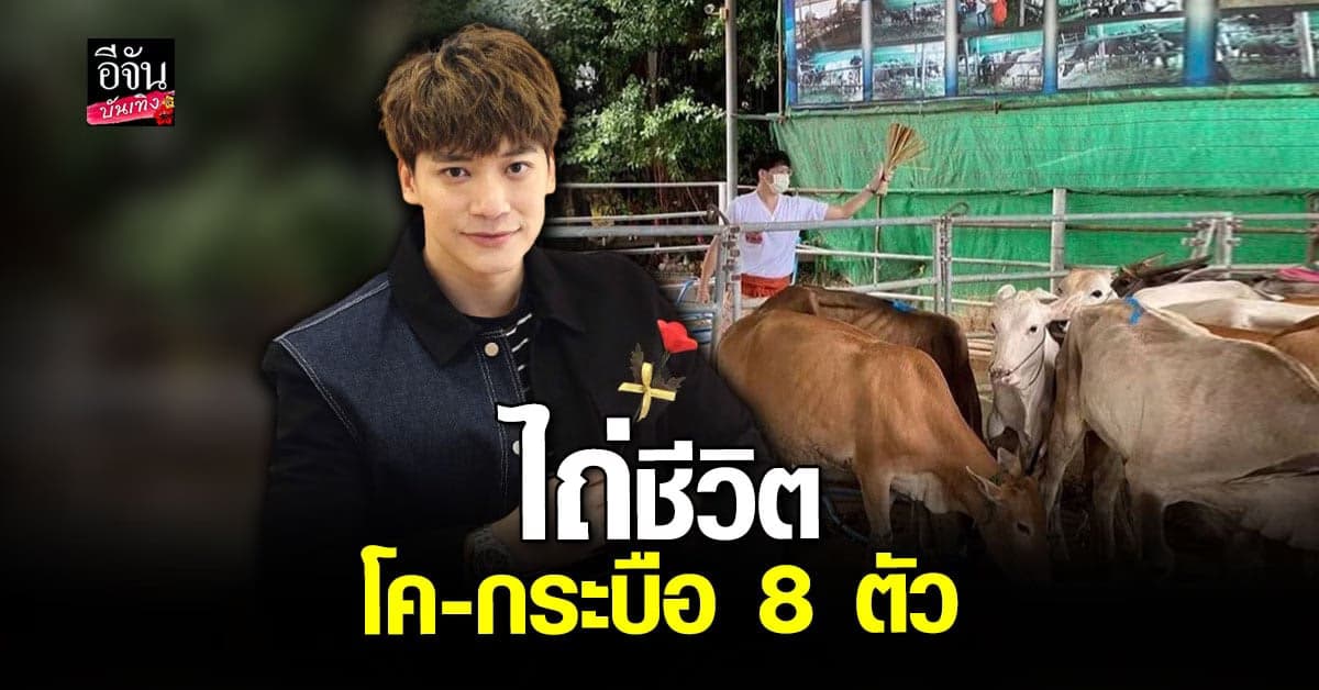 บี้ สุกฤษฎิ์ ทำบุญวันคล้าย วันเกิด ไถ่ชีวิตโคกระบือ จาก โรงฆ่าสัตว์