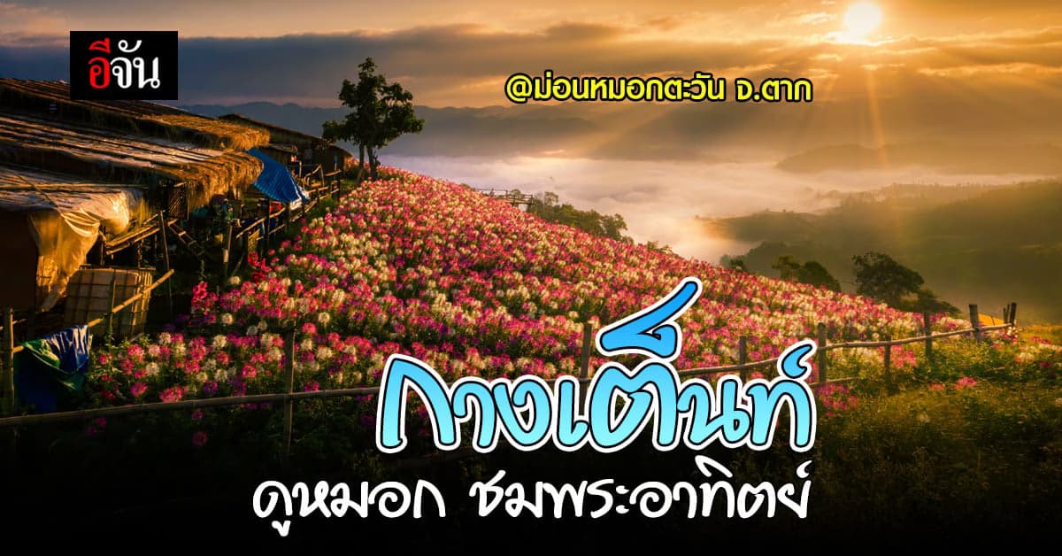 สัมผัสหมอก ดูพระอาทิตย์ 360 องศา ที่ ม่อนหมอกตะวัน จ.ตาก