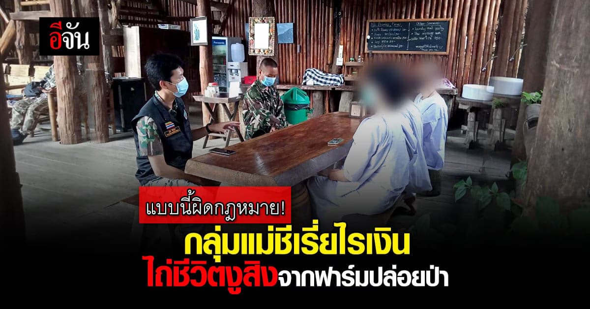 ผิดกฎหมาย! กลุ่มแม่ชีเรี่ยไรเงินบริจาค ไถ่ชีวิตงูสิงปล่อยป่า