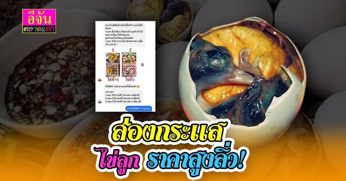 ไข่ลูก ไข่เวียดนาม คนกินให้พรึ้บ อัพราคาแพงกว่า ไข่ธรรมดา 3 เท่า