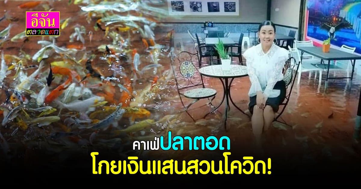 โควิดก็กั้นไม่ได้ คาเฟ่ปลาตอด ขนอม โกยรายได้เดือนละ 2 แสน