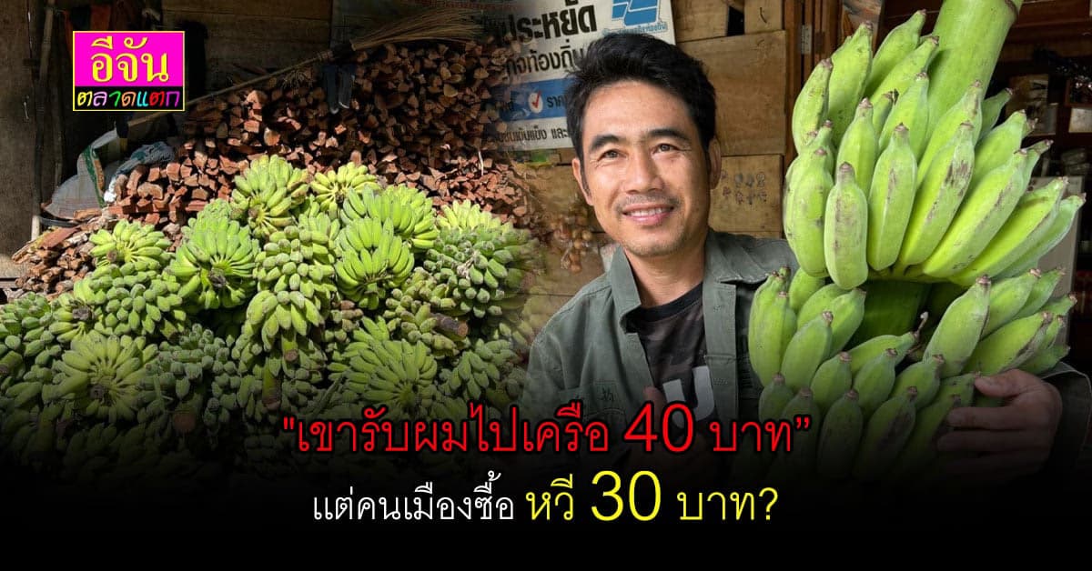 กล้วยหวีโต ขายเครือละ 40 บาท ถึงมือคนซื้อหวีละ 40 บาท กำไร 8 เท่า?