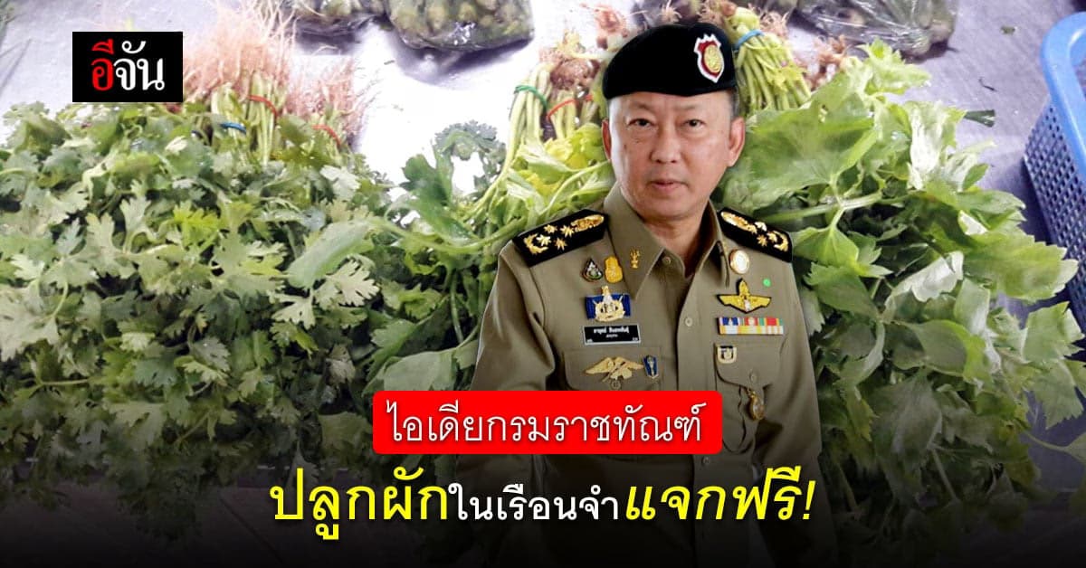 กรมราชทัณฑ์ ผุดไอเดียให้นักโทษปลูกผักในเรือนจำ แจกฟรีให้ประชาชน