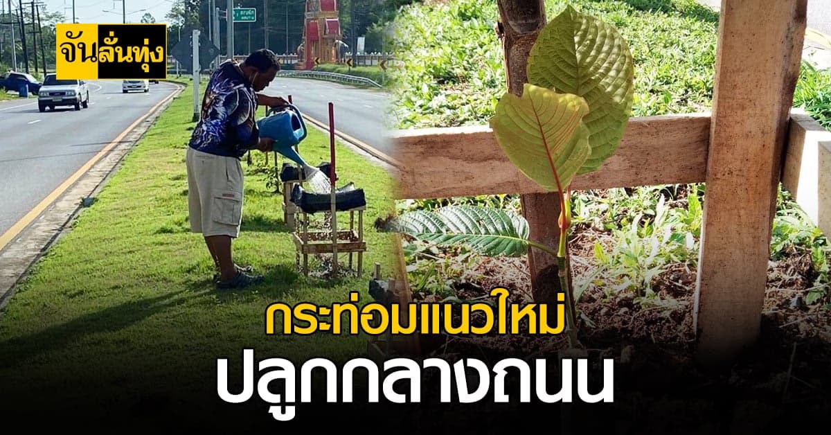 แบบนี้น่าสนับสนุน นายกฯ คลองท่อมใต้ ปลุกกระท่อมบนเกาะกลางถนน