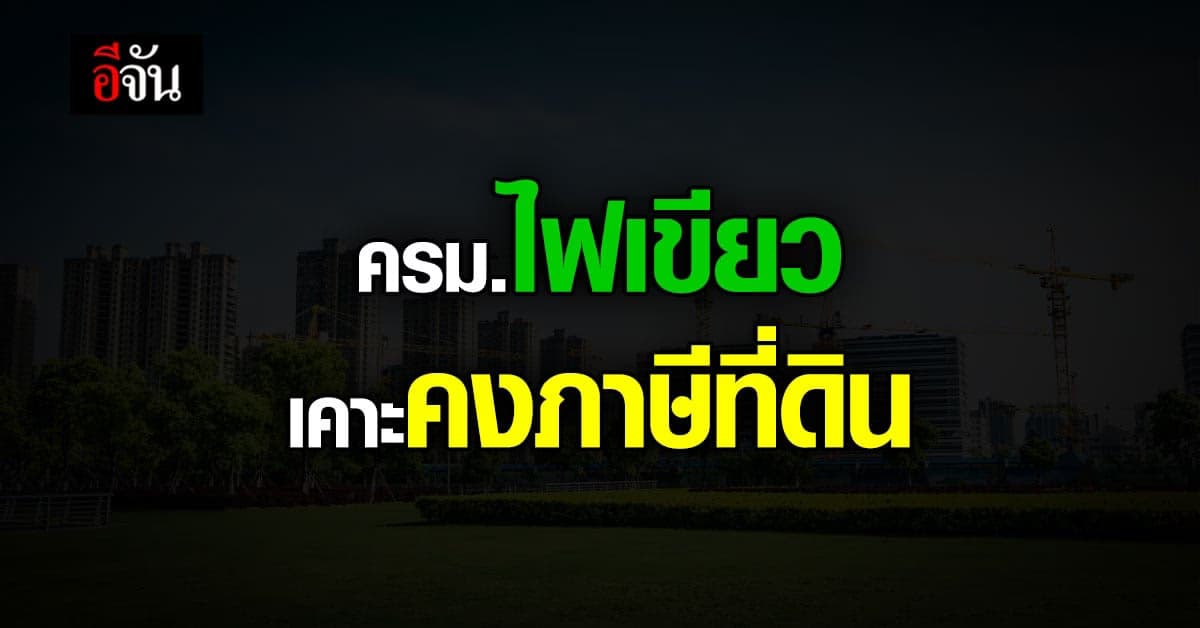 ครม. ไฟเขียว เคาะคง อัตราภาษี ที่ดินและ สิ่งปลูกสร้าง เลื่อน 2 ปี !