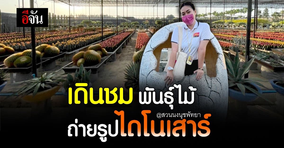 จันชวนชม ไดโนเสาร์ ที่สวนนงนุช