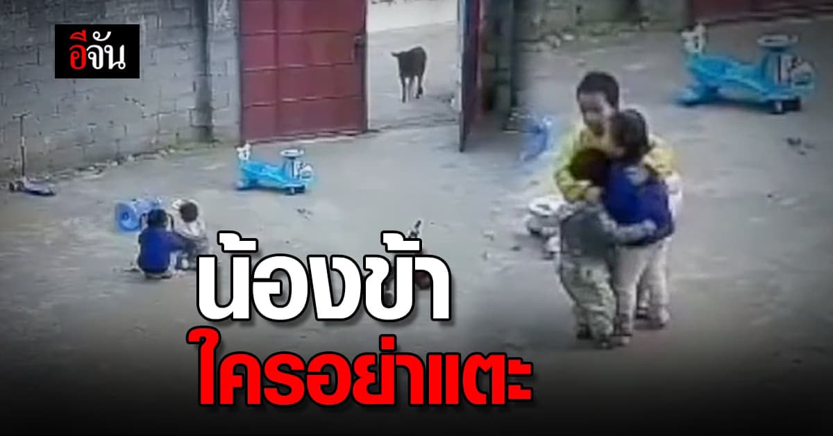 “น้องข้าใครอย่าแตะ” พี่ชาย 6 ขวบ ควงไม้ ปกป้องน้องสาว