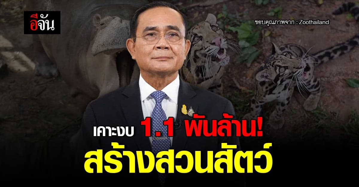 ครม. ไฟเขียว! งบ 1,109 ล้าน สร้าง สวนสัตว์ ใหม่ที่ปทุมธานี
