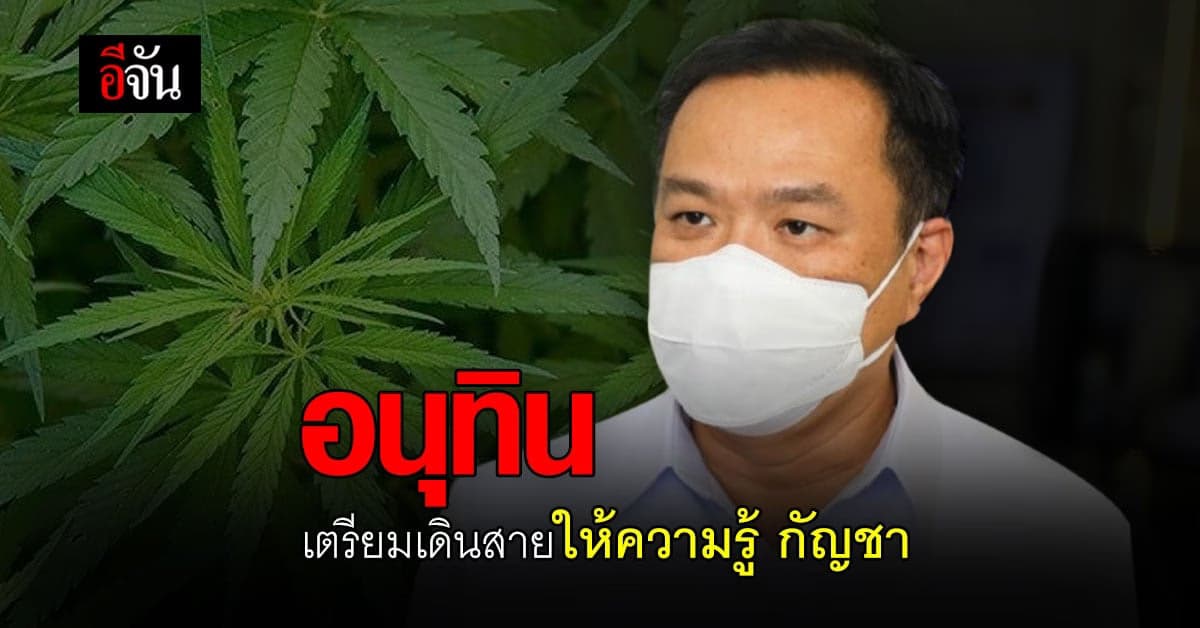 อนุทิน เตรียม เดินสาย ให้ความรู้ กัญชา ใน 12 เขตสุขภาพ