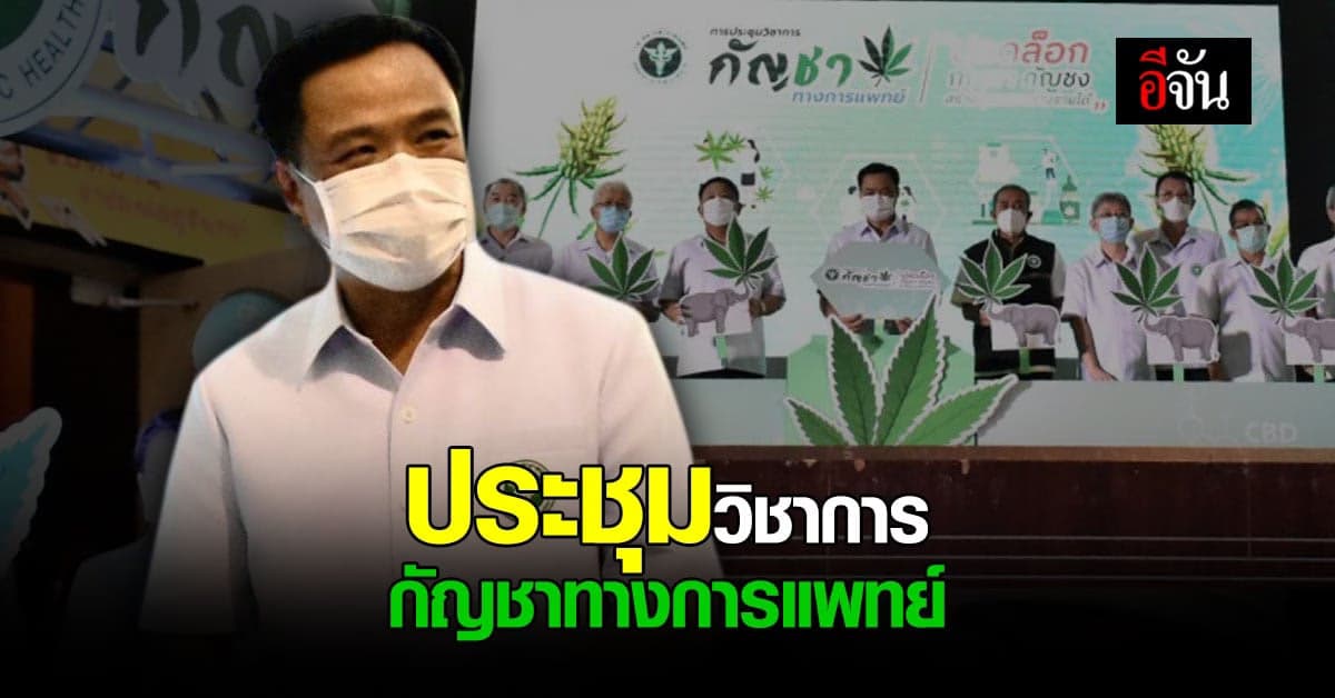 สธ. จัด ประชุม กัญชาทางการแพทย์ เริ่มเขตสุขภาพ 9 มุ่งสร้างความเข้าใจ