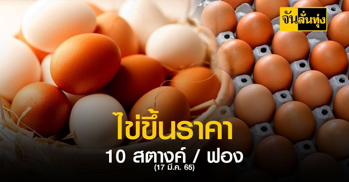 อนุมัติแล้ว ปรับ ราคาไข่ไก่ ขึ้น 10 สตางค์ / ฟอง อาทิตย์หน้าอาจขึ้นอีก