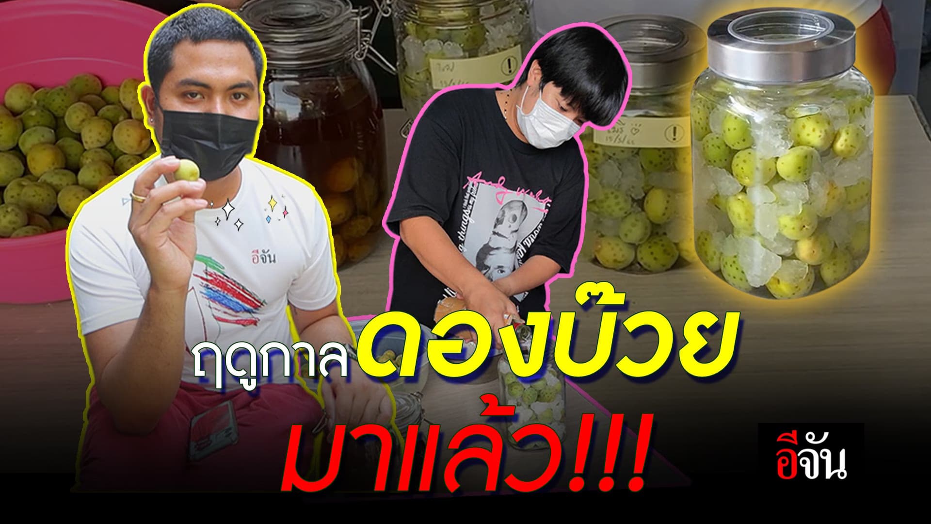 🎬 ฤดูกาล ดองบ๊วย เริ่มแล้ว