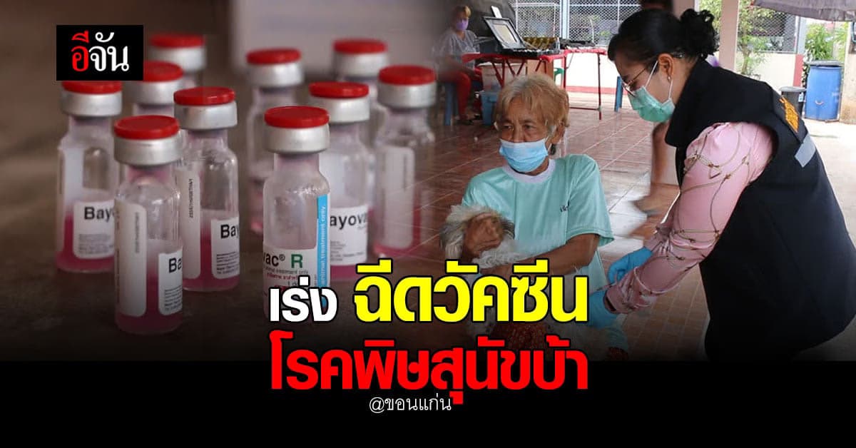 ขอนแก่น เร่ง ฉีดวัคซีน ป้องกัน โรคพิษสุนัขบ้า ในช่วงฤดูร้อน