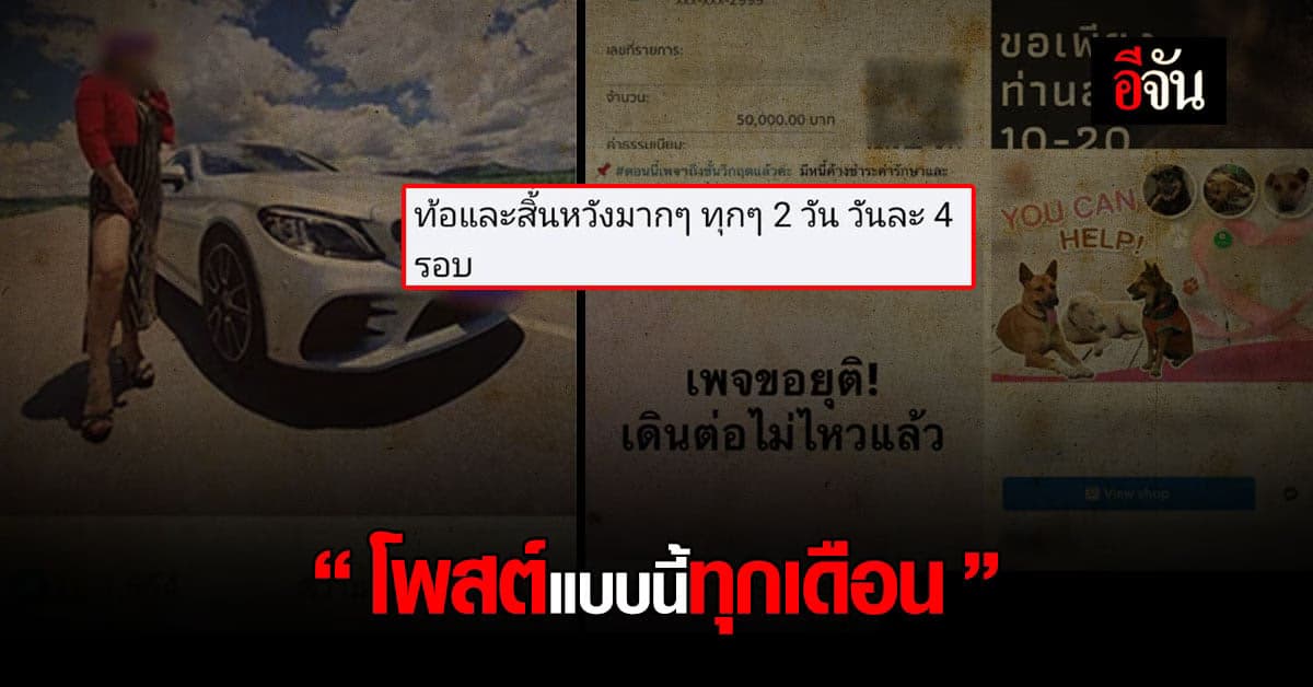เพจดังรักษาหมาแมว ไปต่อไม่ไหวจริงหรือ?