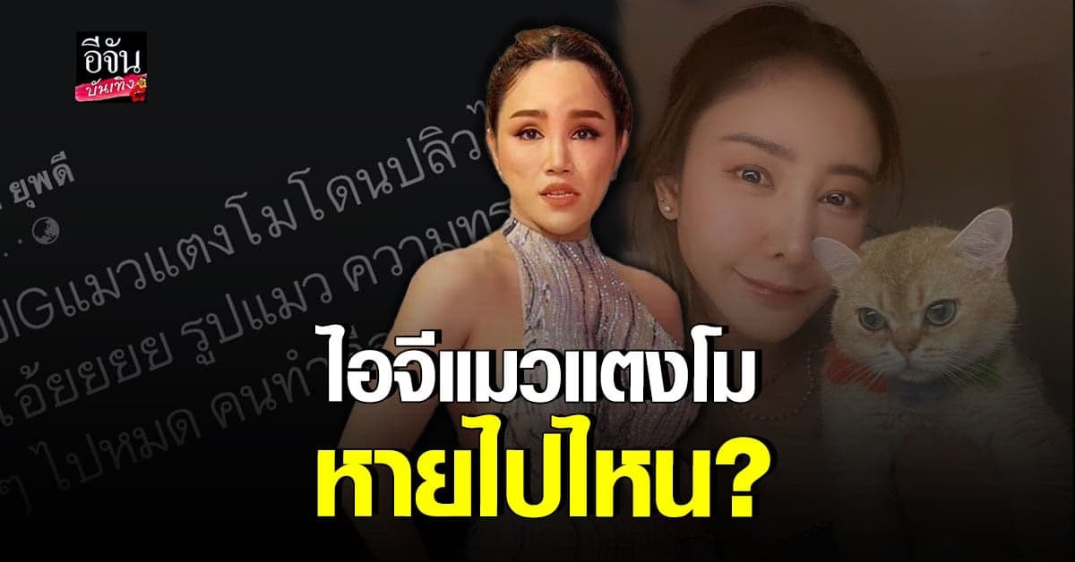 พุดเดิ้ล ยุพดี สุดเดือด! ไอจีแมวแตงโมปลิว จนถึงขั้นสบถแรง