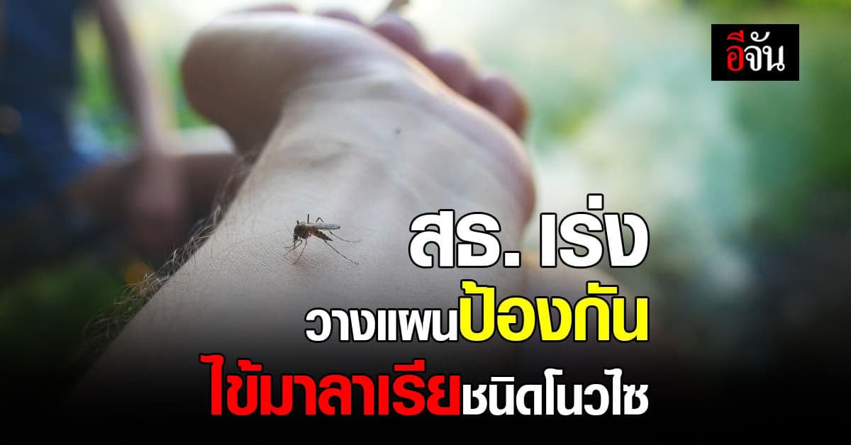 สธ. เร่งป้องกัน ไข้มาลาเรียชนิดโนวไซ ตามแนวชายแดน หลังพบผู้ป่วยเพิ่ม