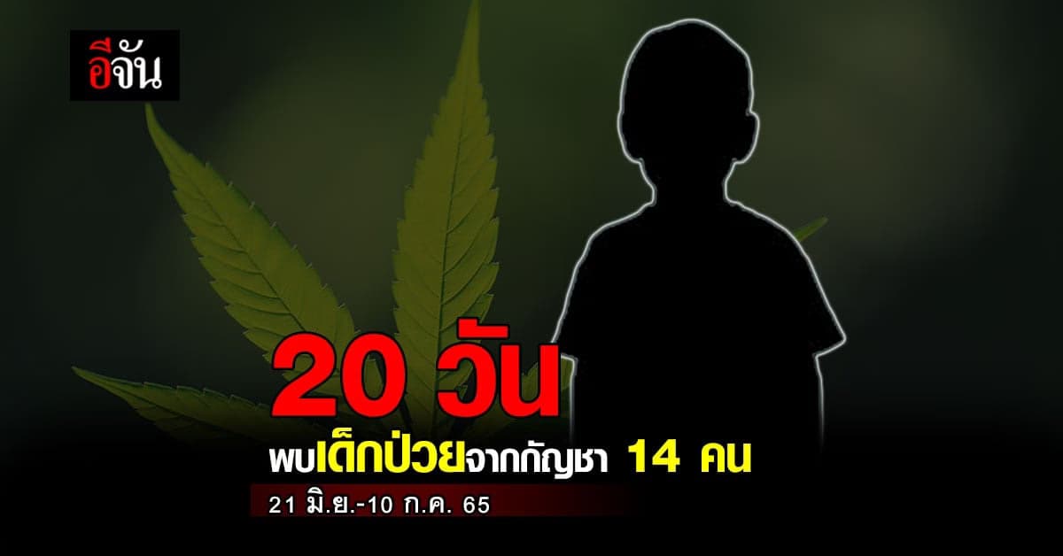 หมอเด็ก เผยตัวเลข ช่วง 20 วันที่ผ่านมา พบ เด็กที่ป่วยจากกัญชา 14 ราย
