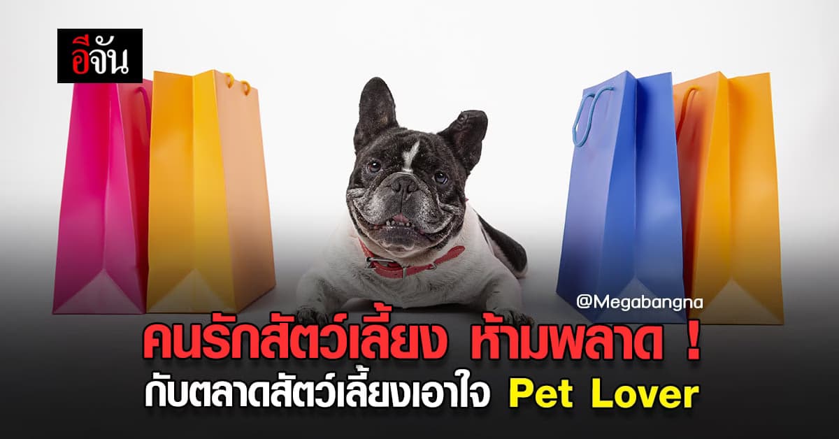ปักหมุด รอเลยกับ คนรักสัตว์เลี้ยง ในงาน PET MARKET เมกาบางนา