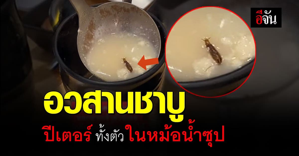 อ้วกแทบพุ่ง ร้านชาบูชื่อดัง เจอลูกแมลงสาบ ลอยอยู่ในหม้อ