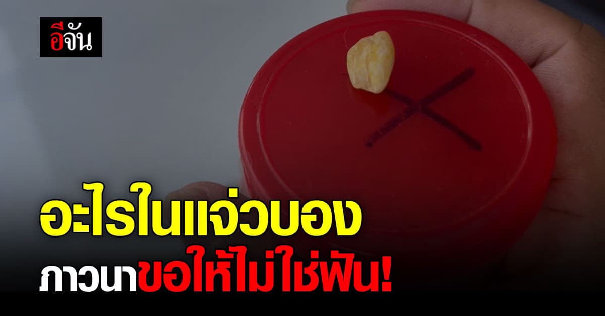 เเซ่บเเต่ขัดใจ! หนุ่มเจอสิ่งเเปลกปลอมในเเจ่วบอง : ขอนเเก่น