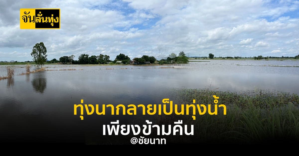 ทุ่งนาที่เคยเขียววันนี้ไม่มีแล้ว