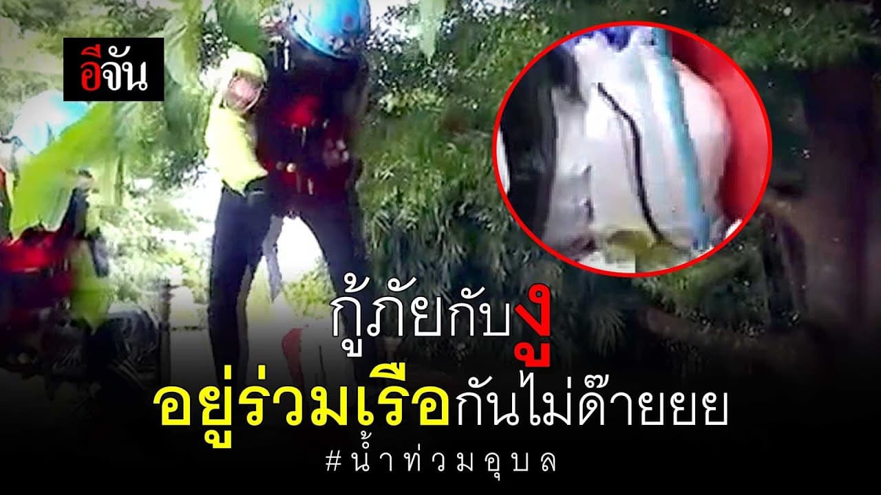 🎬 กู้ภัยกับงู จะร่วมเรือเดียวกันไม่ด๊ายยยยย น้ำท่วมอุบล