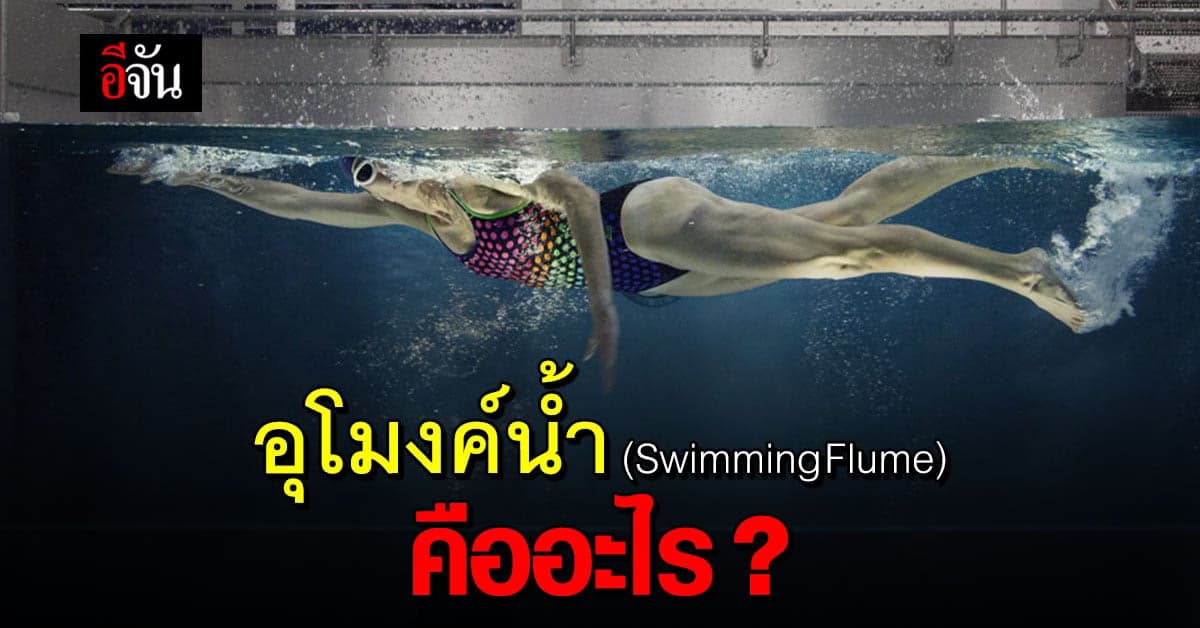 รู้จัก อุโมงค์น้ำ (Swimming Flume) นวัตกรรมเสริมความแกร่ง