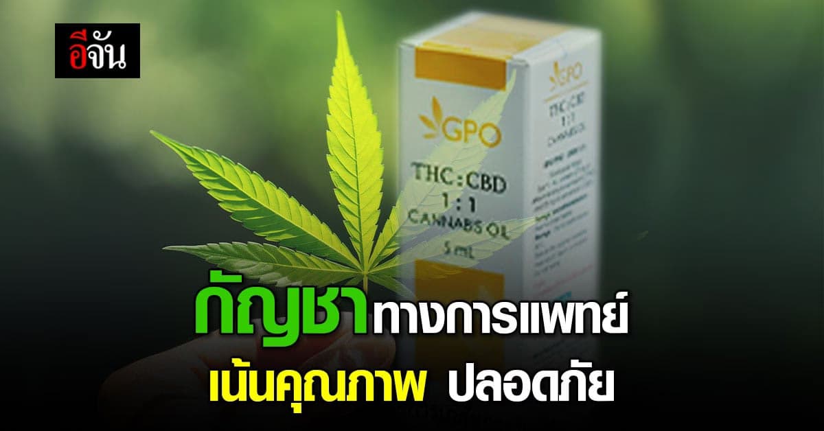 สธ. ระดมผู้เชี่ยวชาญ วิจัย กัญชา เพื่อการแพทย์ เน้นคุณภาพ และปลอดภัย