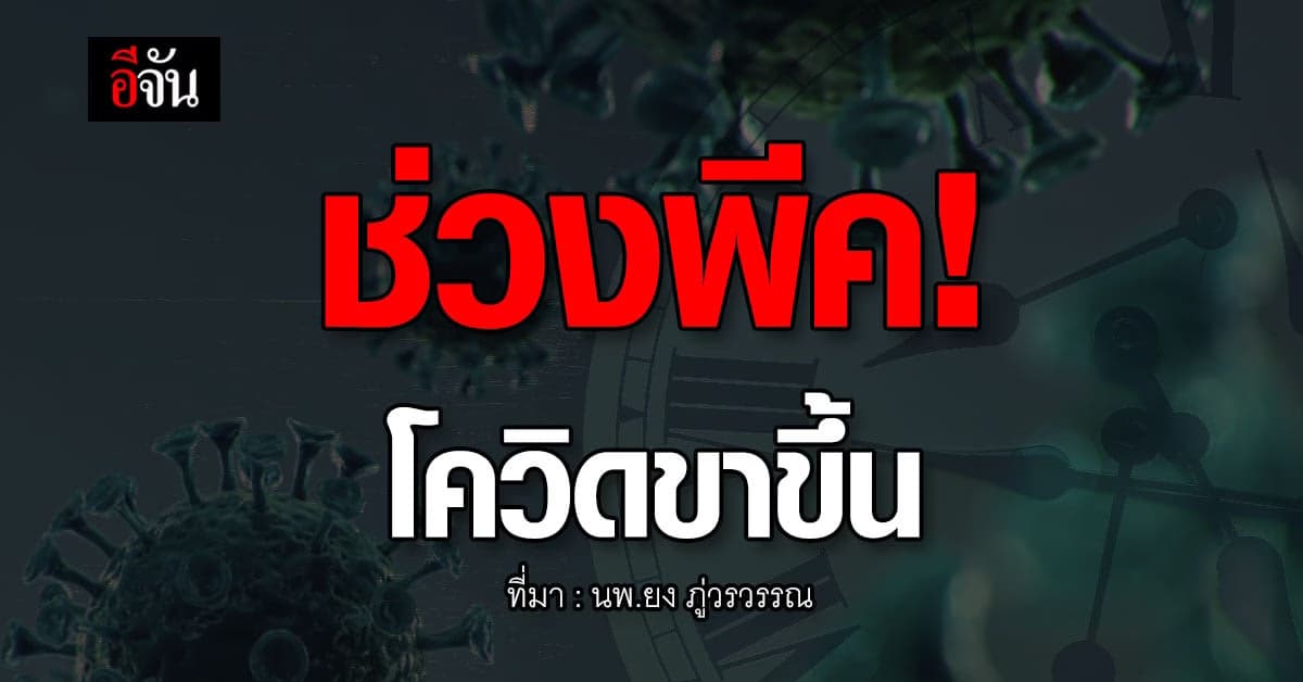 โควิดวันนี้ นพ.ยง เปิดเผยช่วงเวลา โควิดขาขึ้น