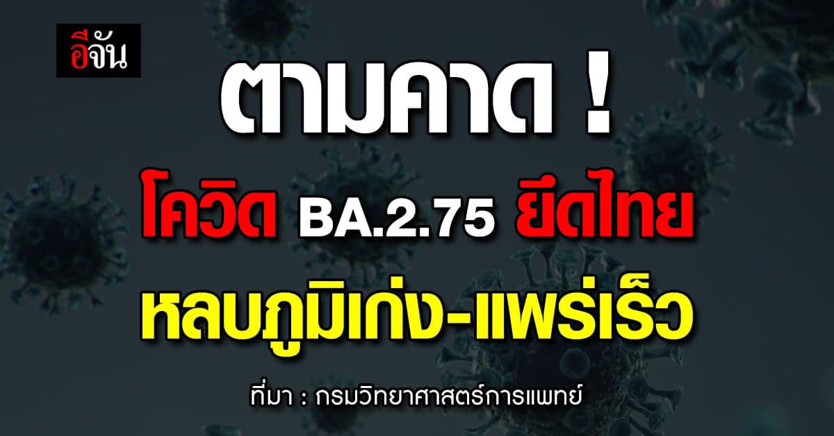 ตามคาด! โควิด BA.2.75 ขึ้นครองสายพันธุ์หลักในไทยแล้ว
