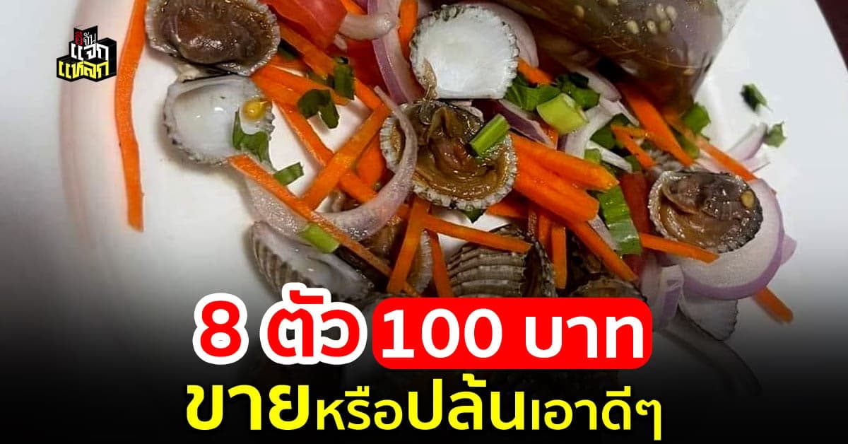 100 บาทตอนนี้ซื้อได้เเค่นี้จริงดิ สาวพ้อ ยำหอยเเครง 9 ตัว ราคา 100 บาท