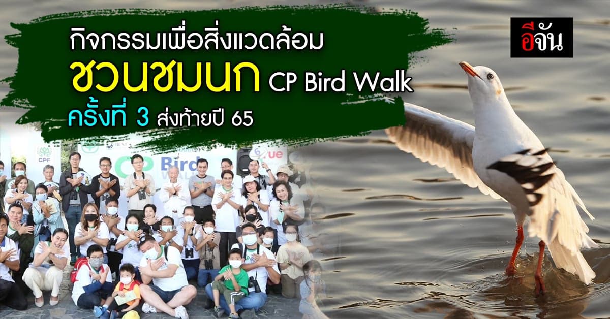 ชวนชมนก CP Bird Walk ครั้งที่ 3 ส่งท้ายปีเพื่อธรรมชาติและสิ่งแวดล้อม