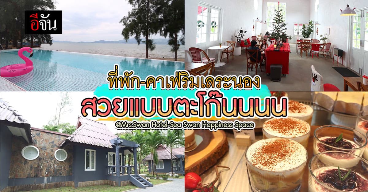 ปักหมุด Mrs.Swan Hotel-คาเฟ่ Sea Swan @ระนอง ชมวิวเพลินจนไม่อยากกลับ